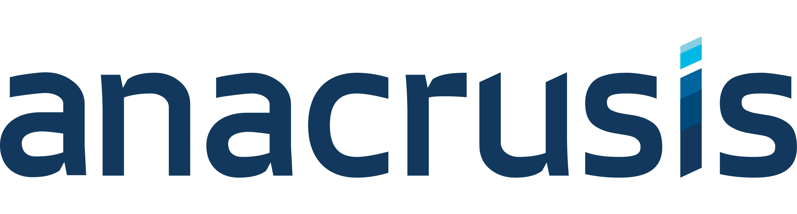 Anacrusis Ltd logo